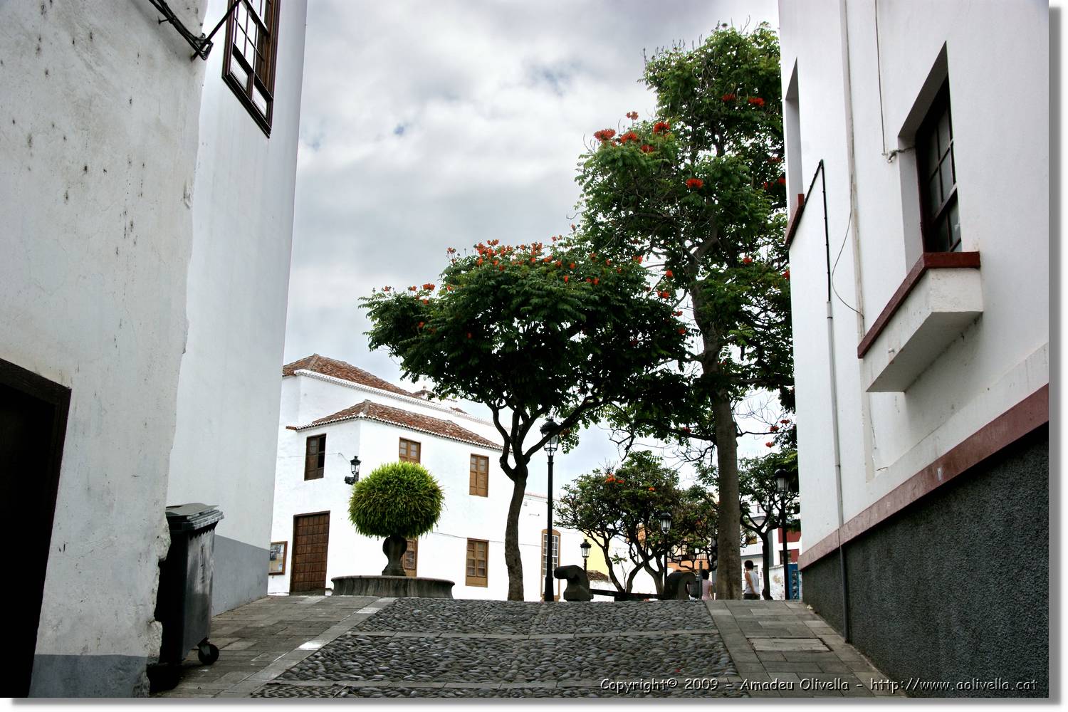 StaCruz_077.jpg