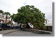 StaCruz_091.jpg