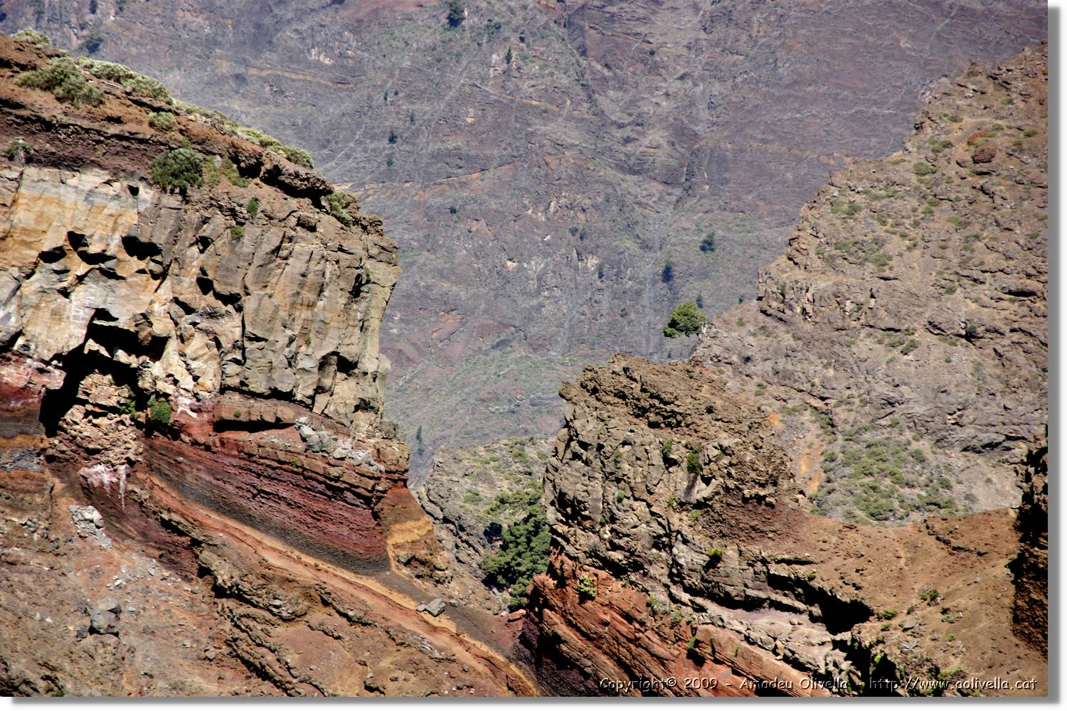 Taburiente_106.jpg