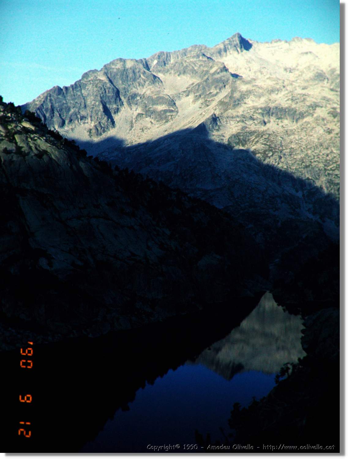 Montardo_002.jpg