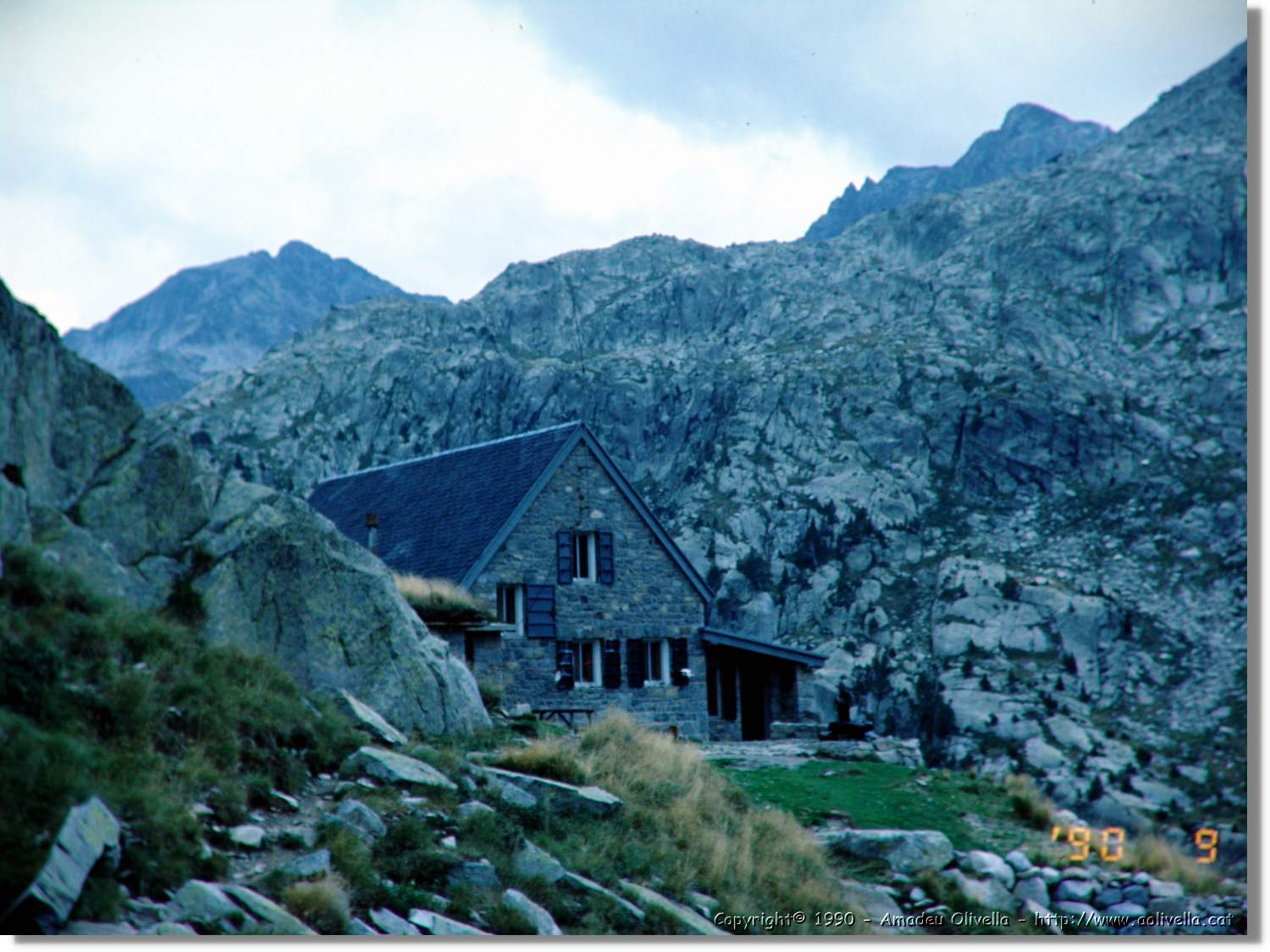 Montardo_037.jpg