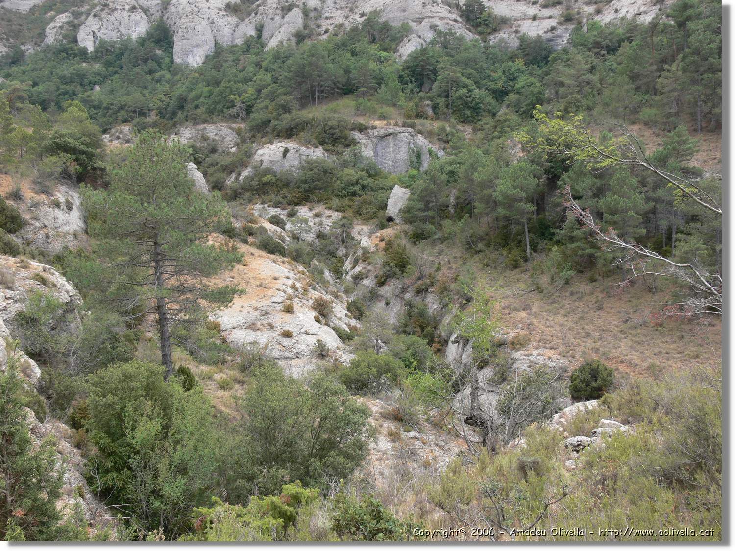 Montsant_052.jpg