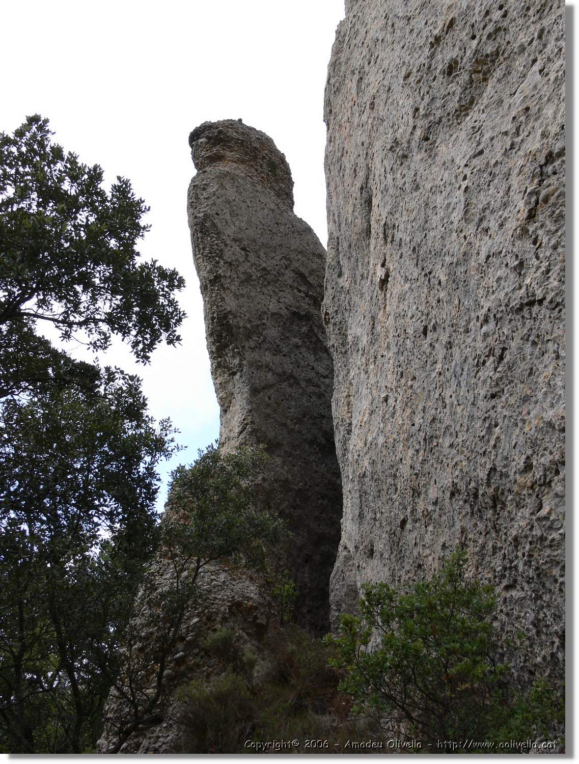 Montsant_053.jpg