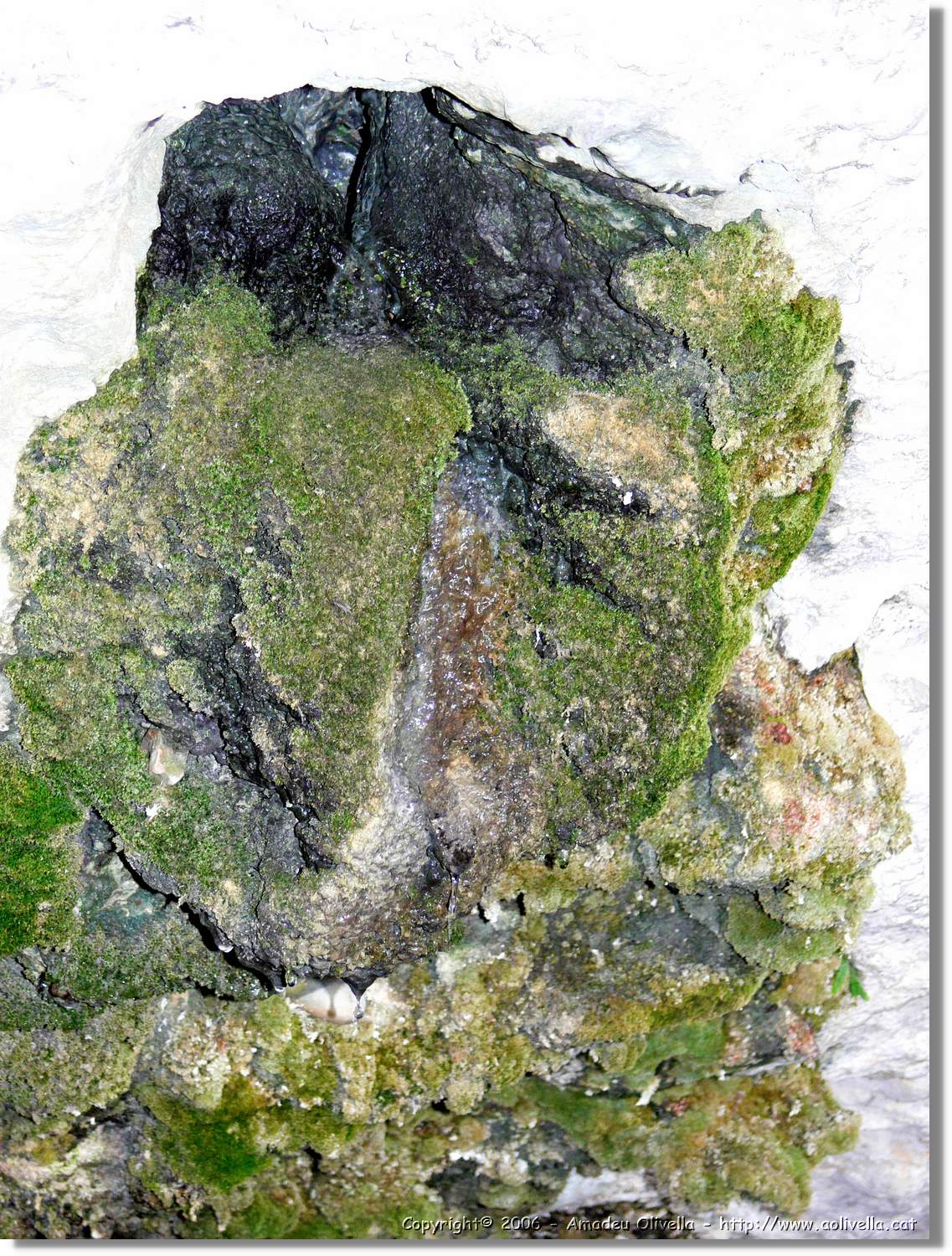 Montsant_056.jpg