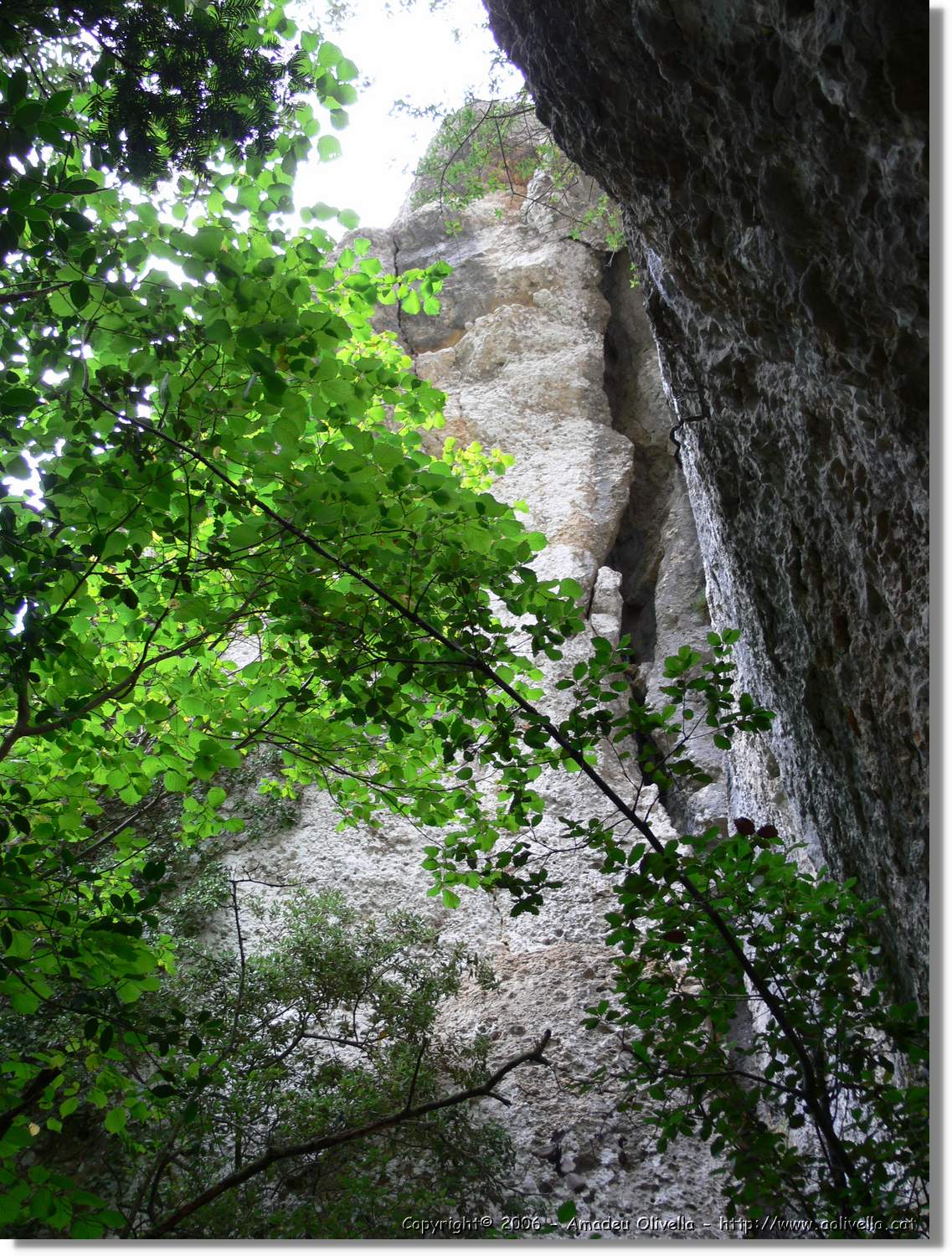 Montsant_072.jpg