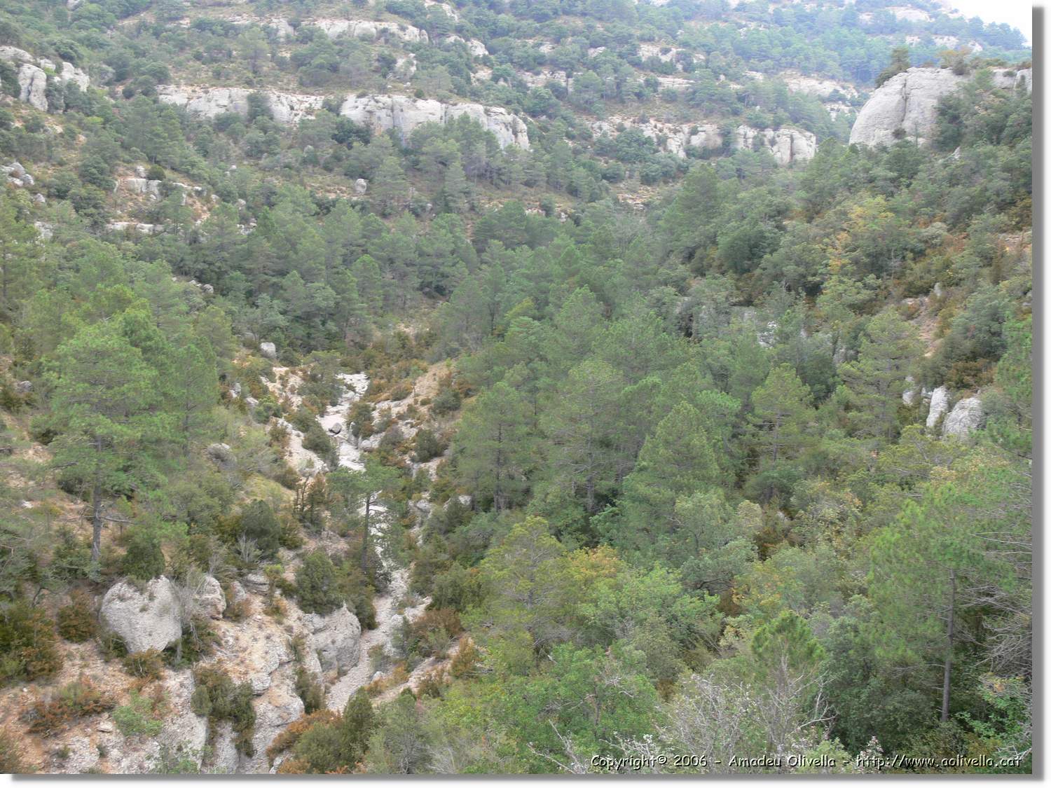 Montsant_075.jpg