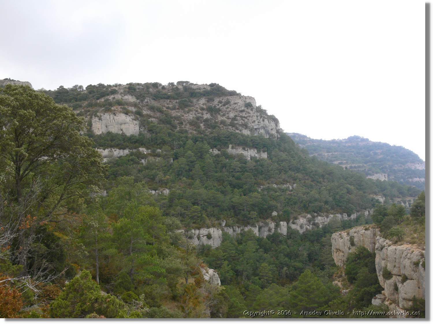 Montsant_076.jpg