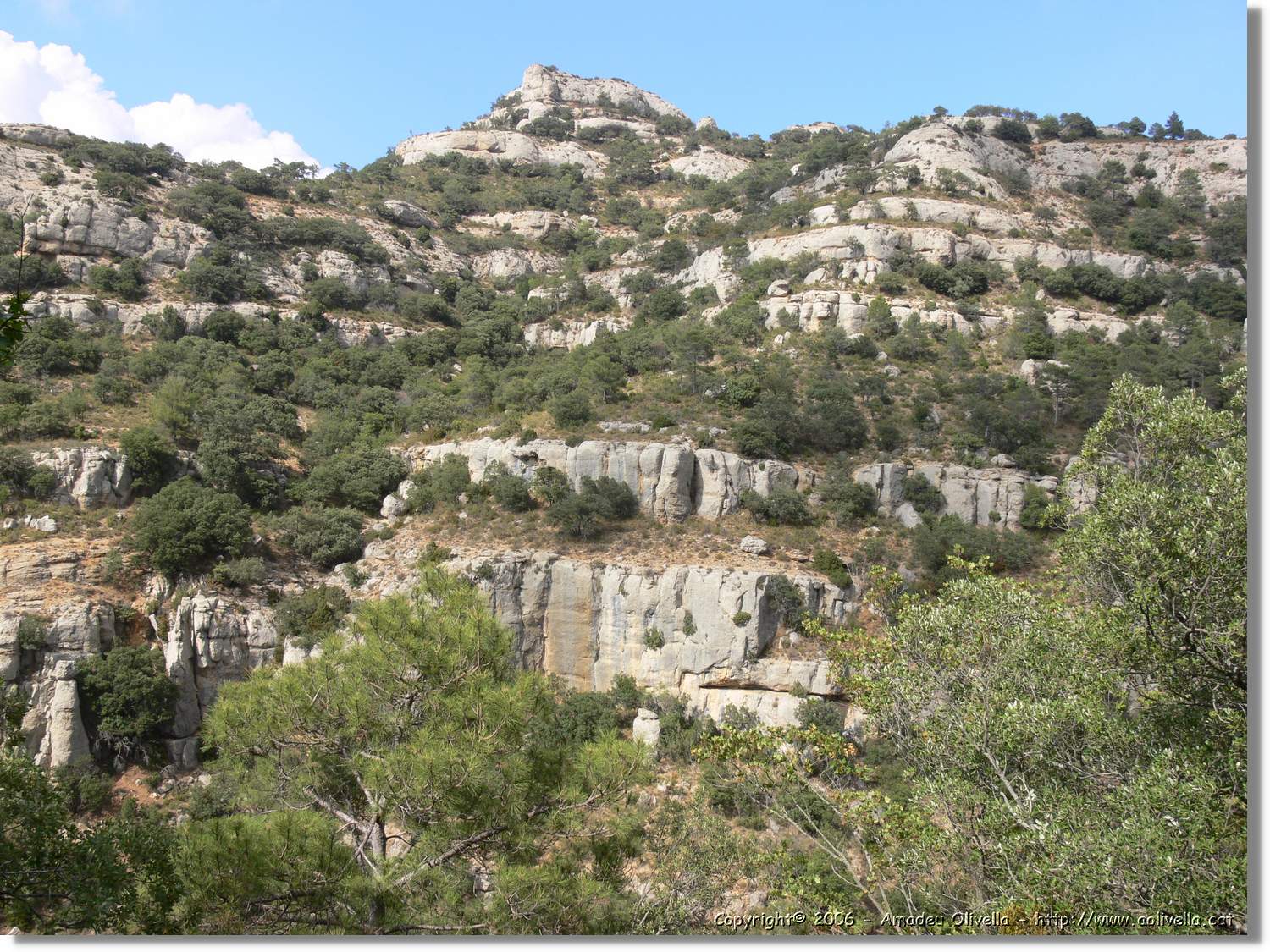 Montsant_077.jpg