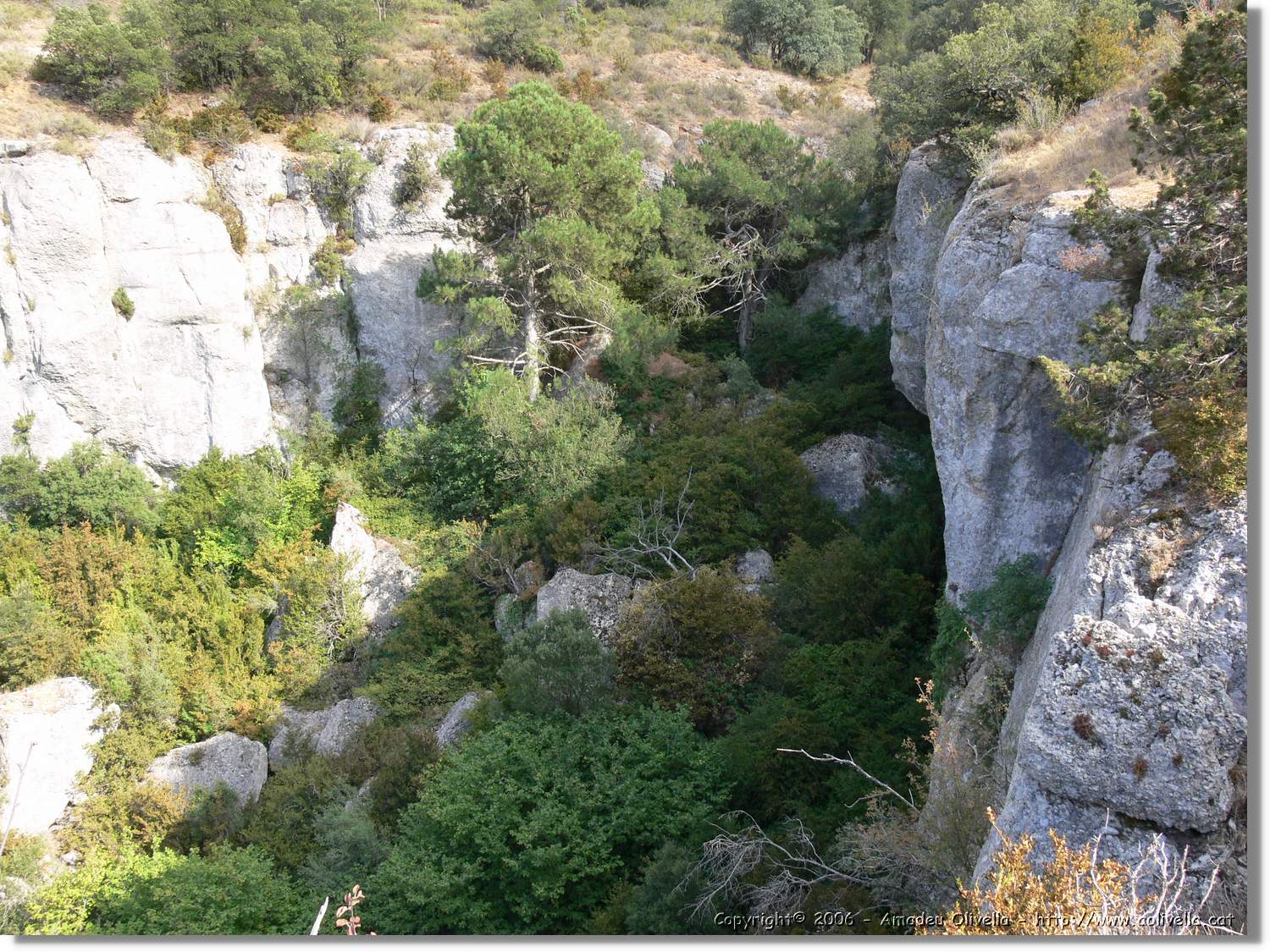 Montsant_081.jpg