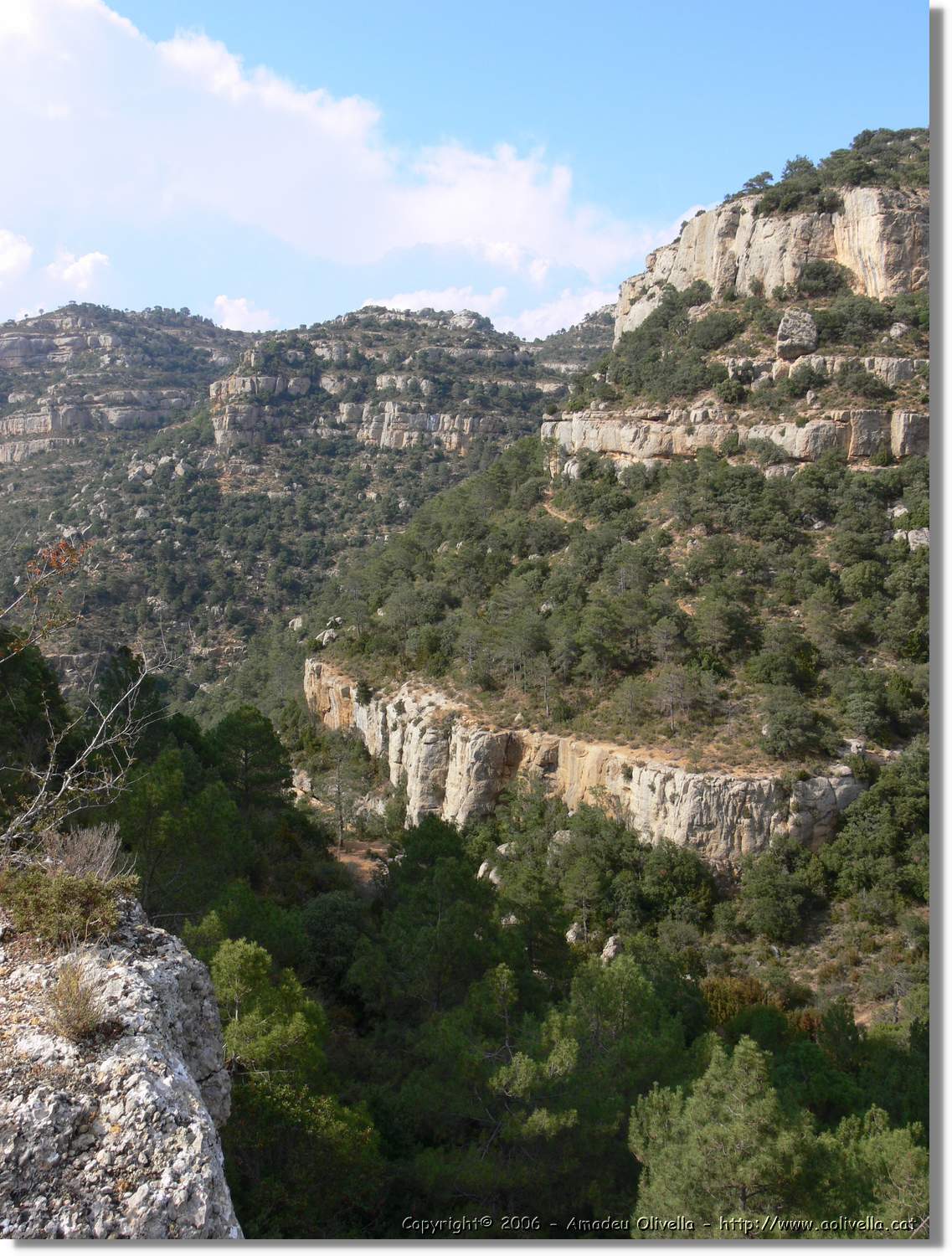 Montsant_082.jpg
