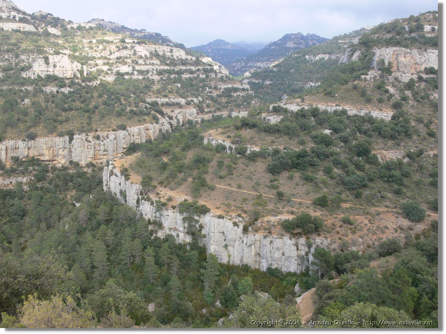 Montsant_084.jpg