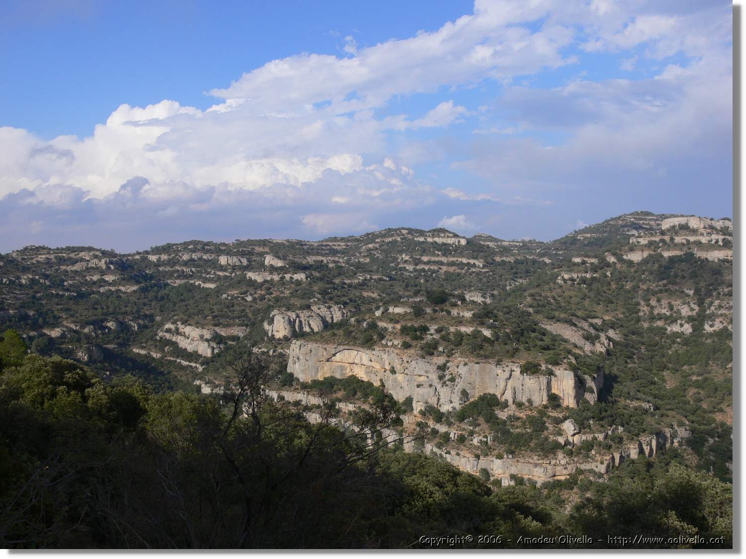 Montsant_087.jpg
