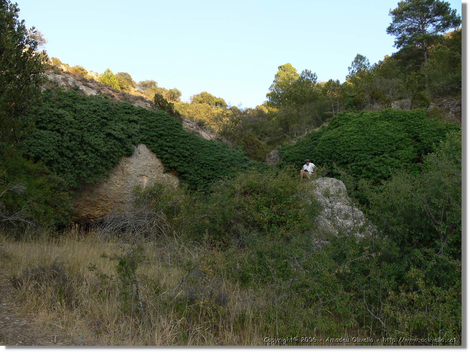Montsant_103.jpg
