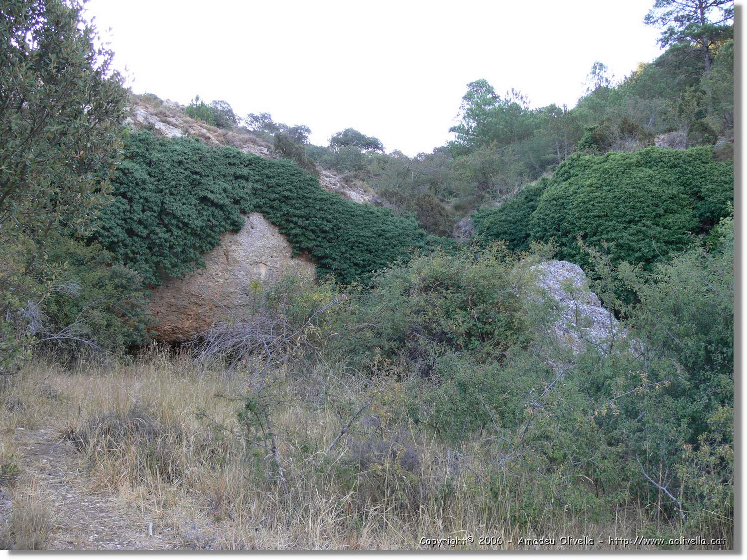 Montsant_108.jpg