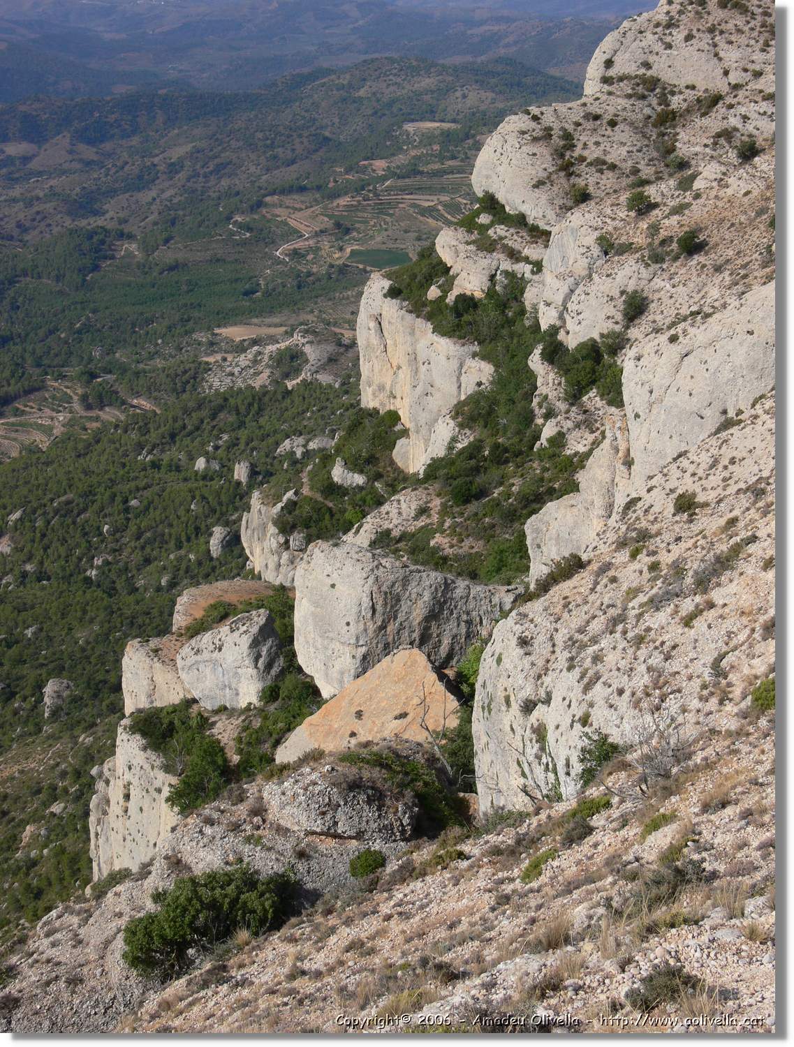 Montsant_137.jpg