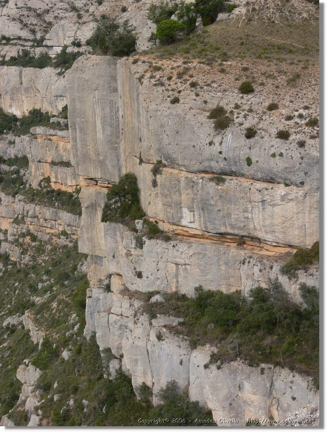 Montsant_145.jpg