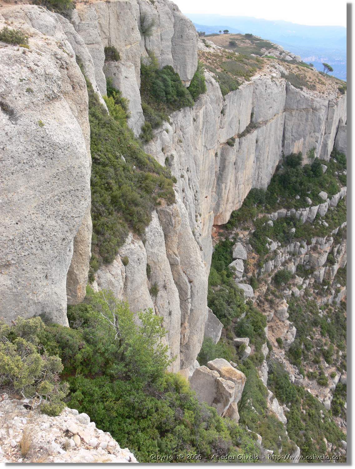 Montsant_149.jpg