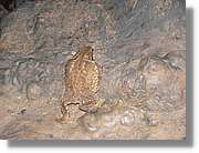 Montsant_155.jpg