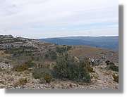 Montsant_178.jpg