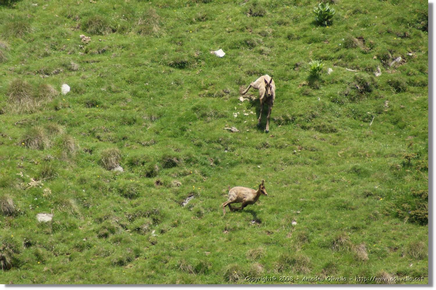 Nuria_015.jpg