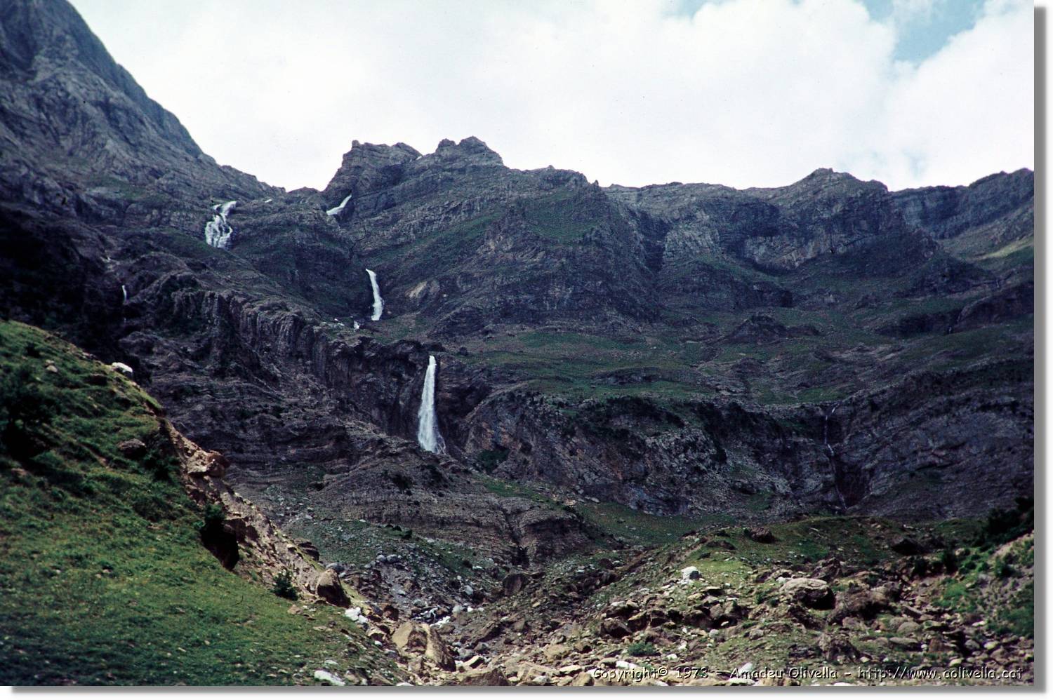 Pineta_003.jpg
