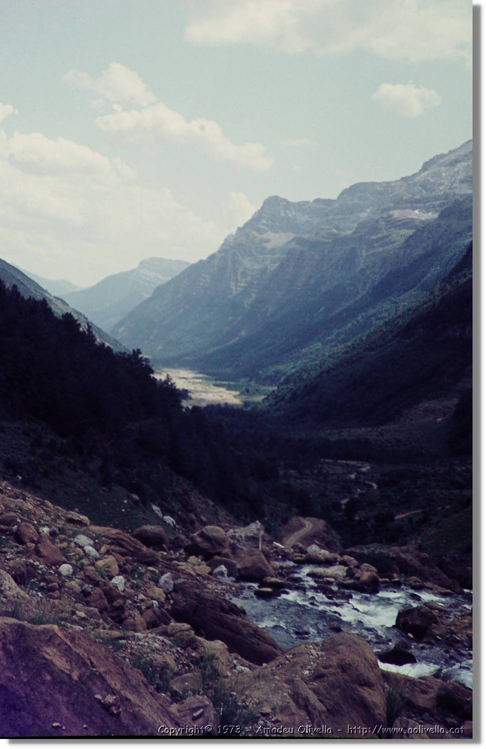 Pineta_004.jpg