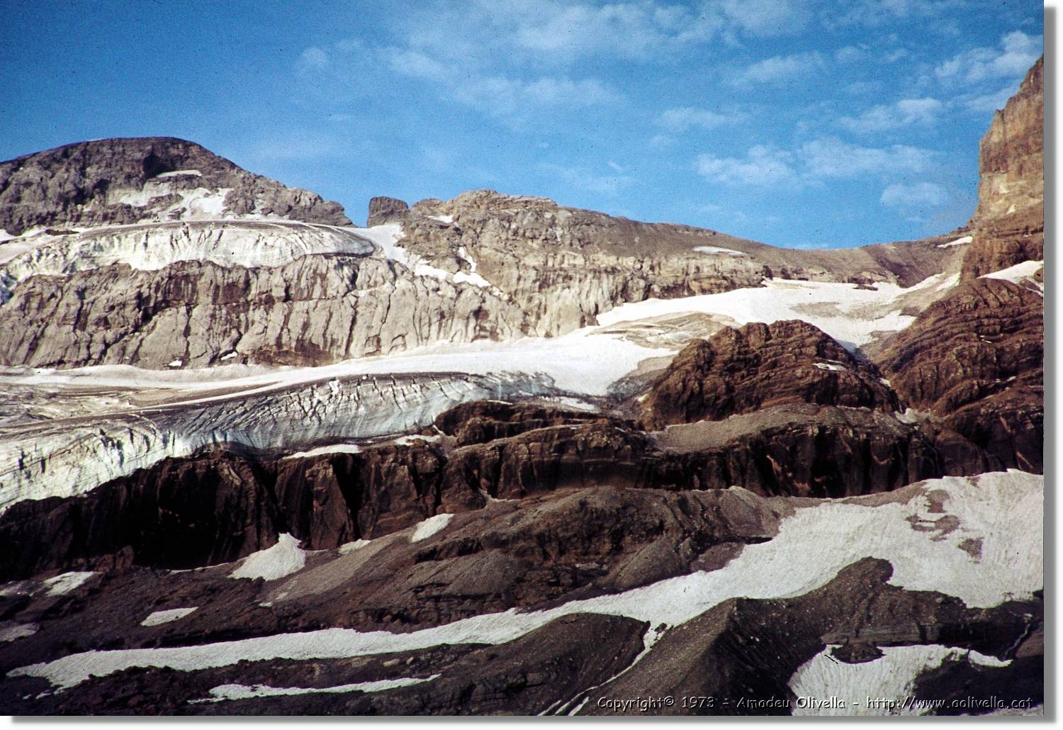 Pineta_015.jpg