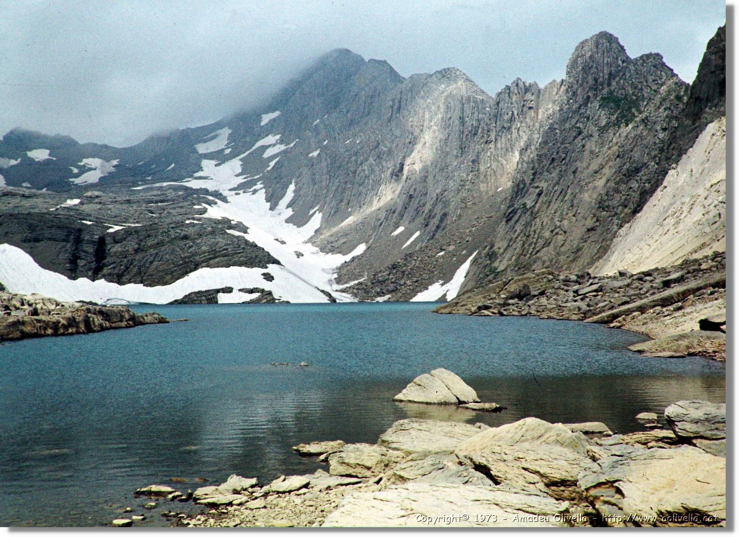 Pineta_018.jpg