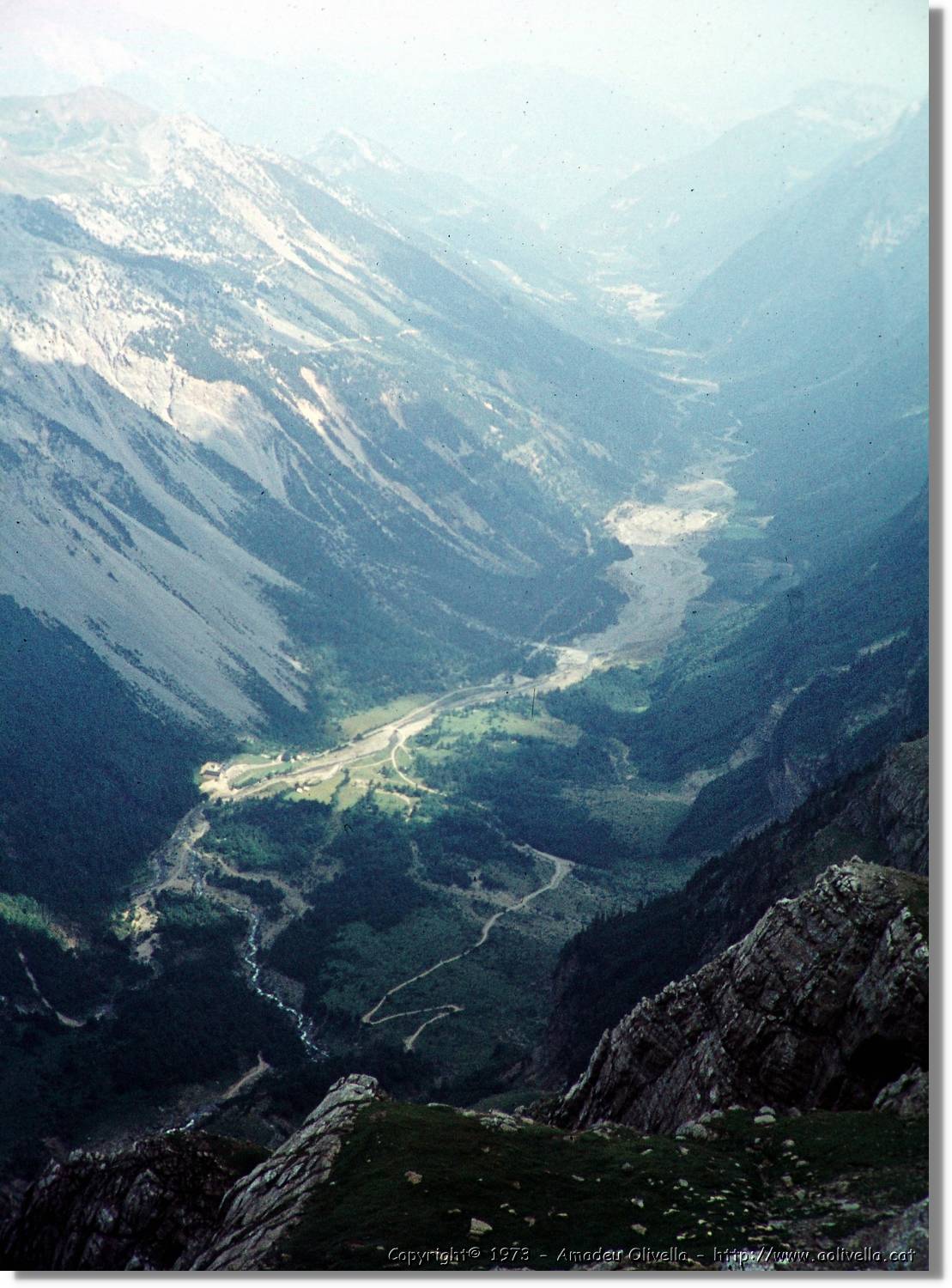 Pineta_030.jpg