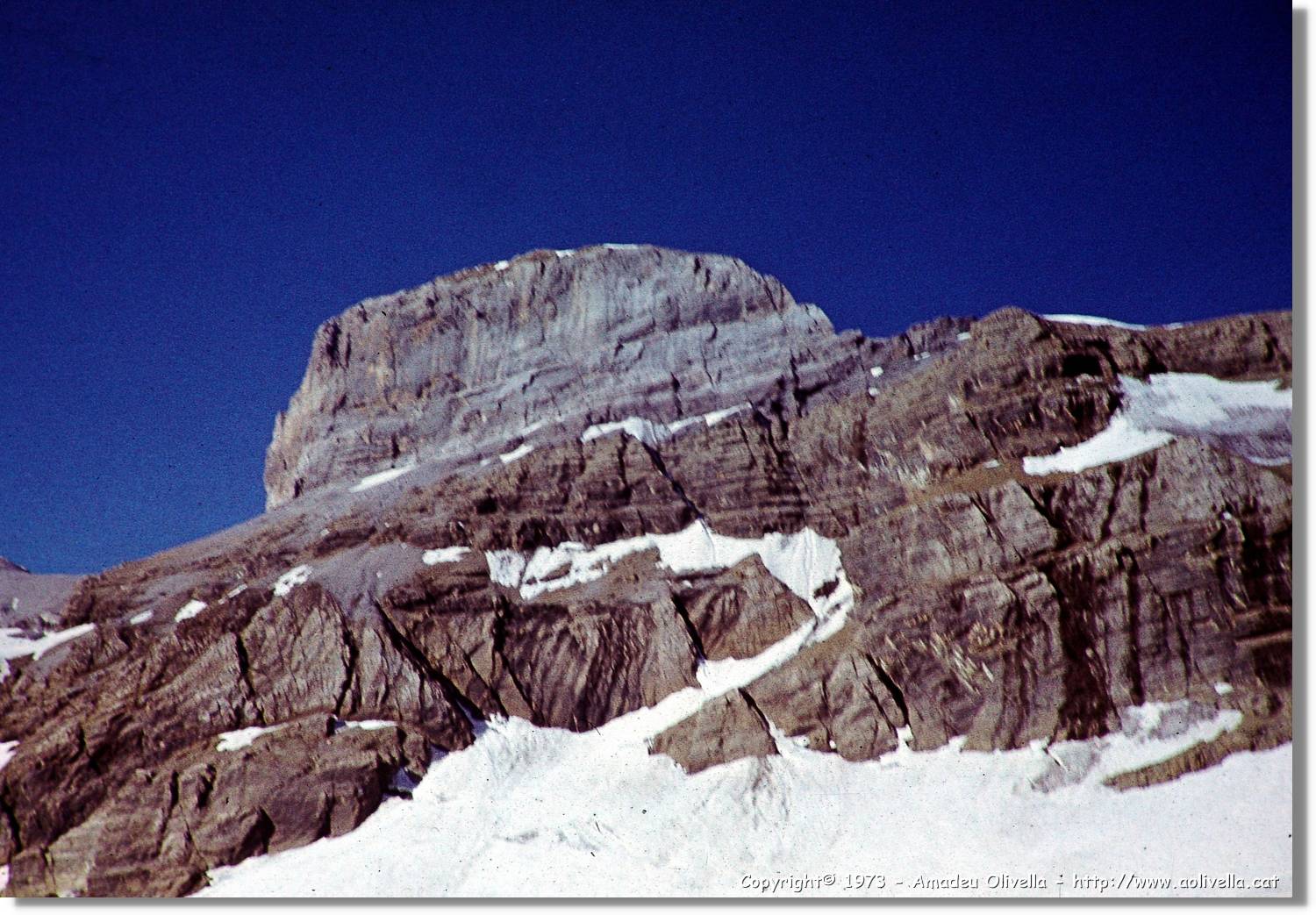 Pineta_034.jpg