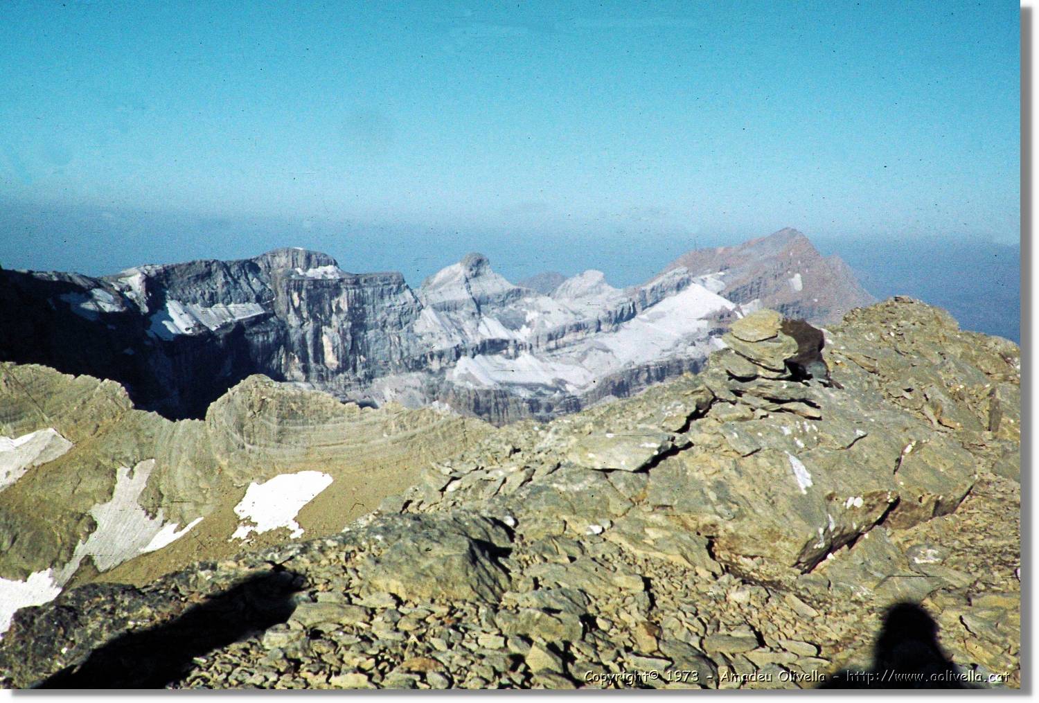 Pineta_037.jpg