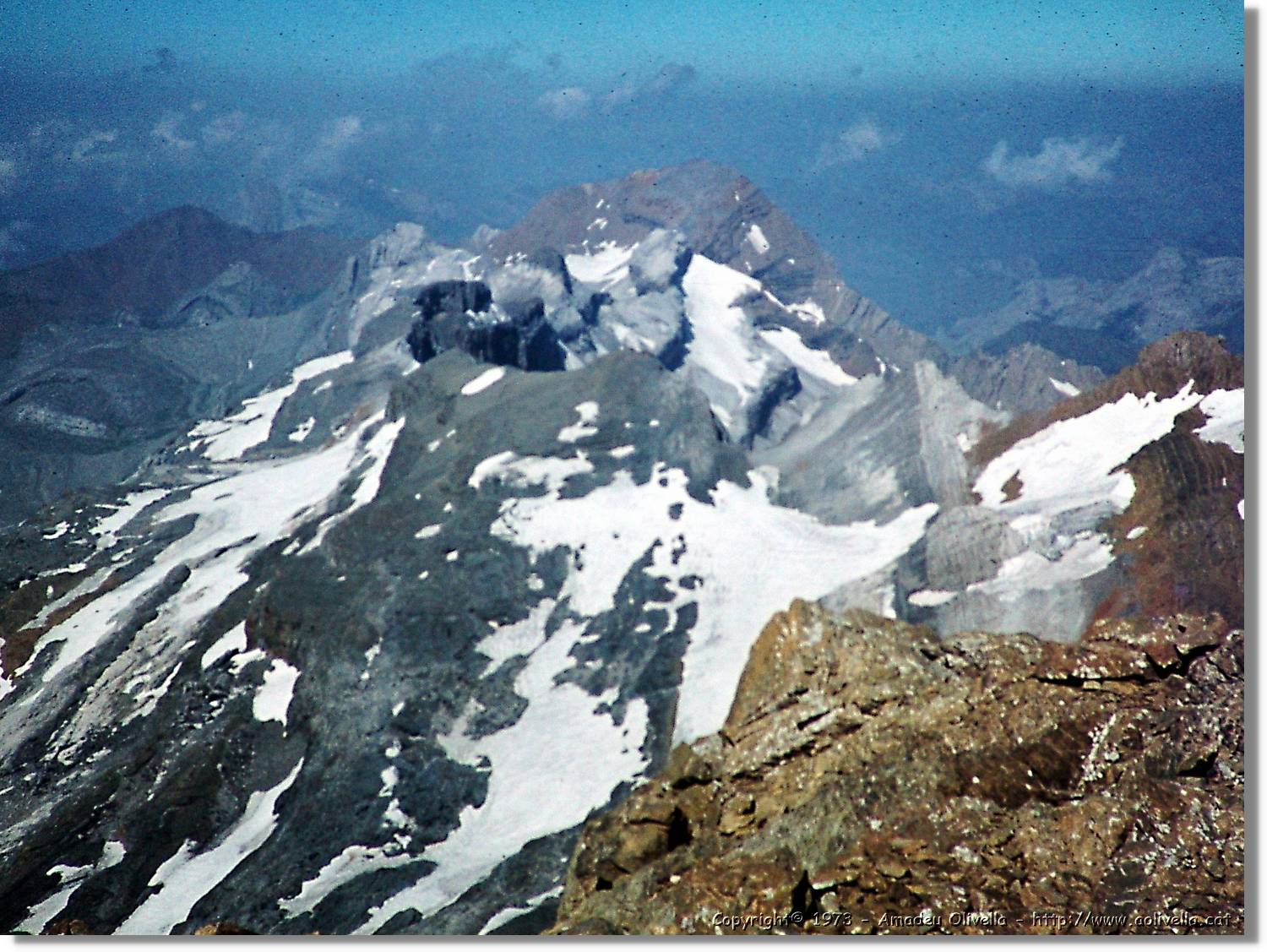 Pineta_049.jpg