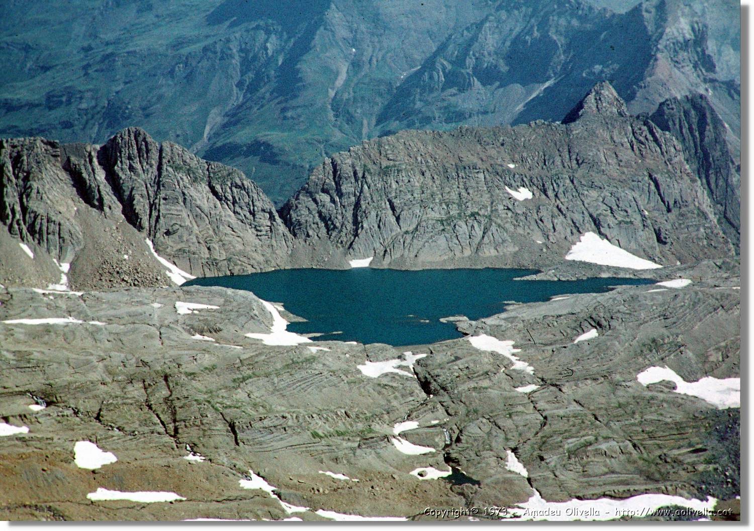 Pineta_053.jpg