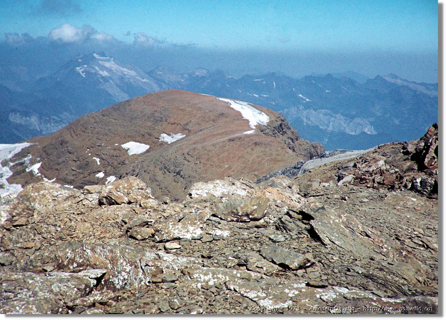 Pineta_055.jpg