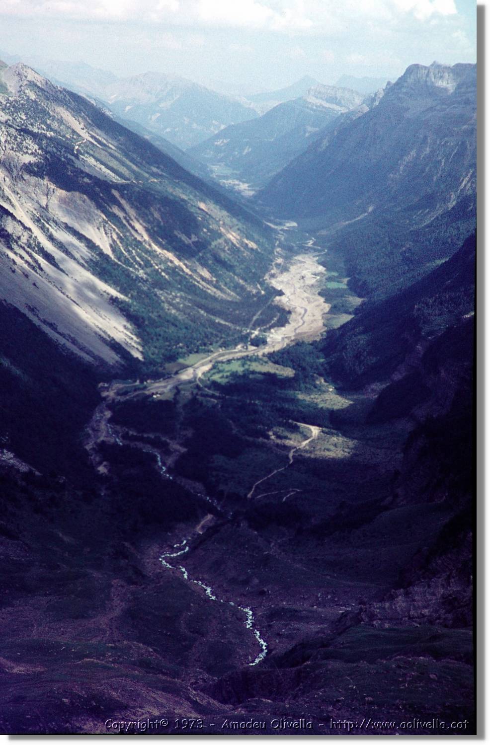 Pineta_06.jpg