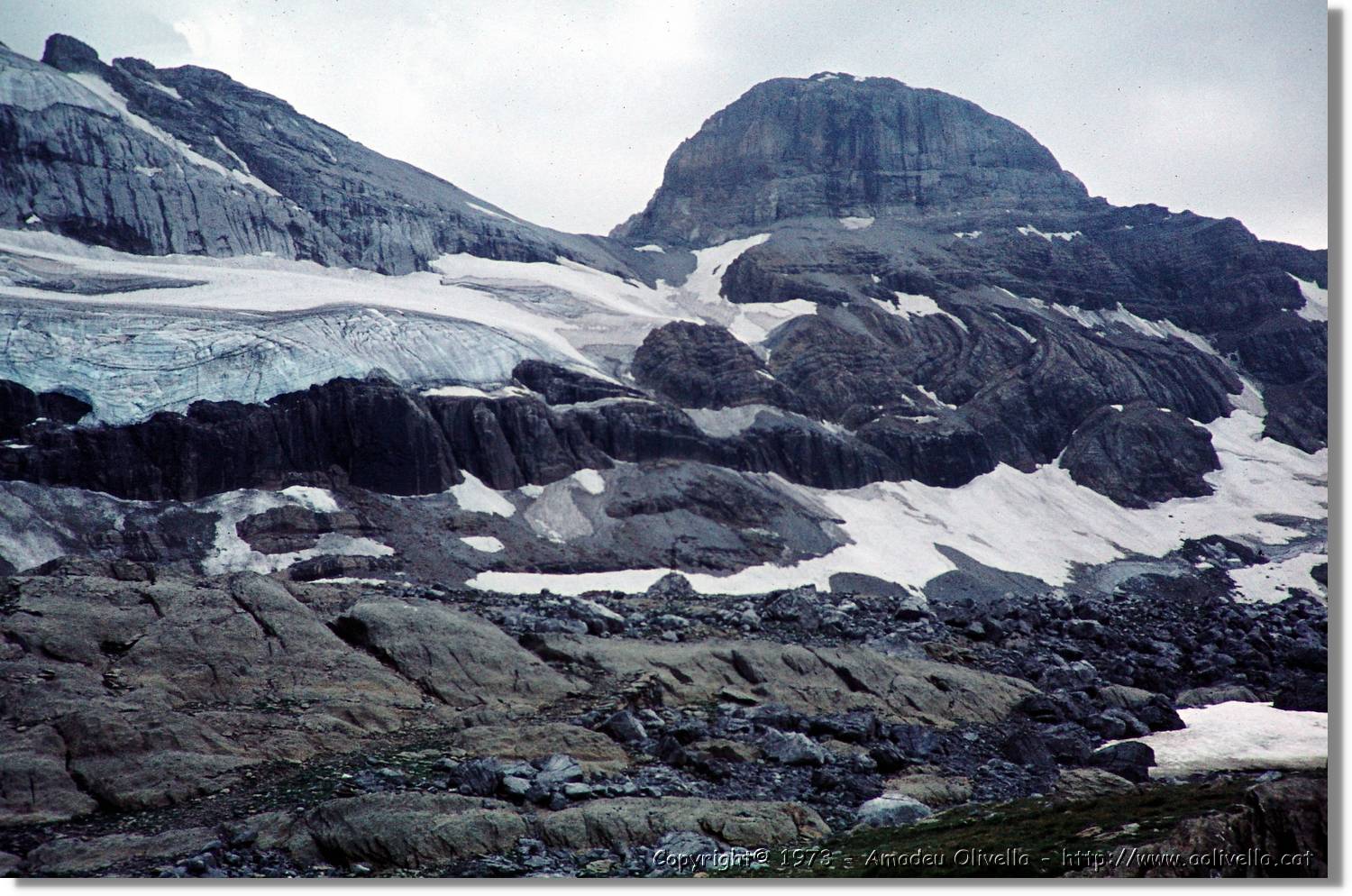 Pineta_08.jpg