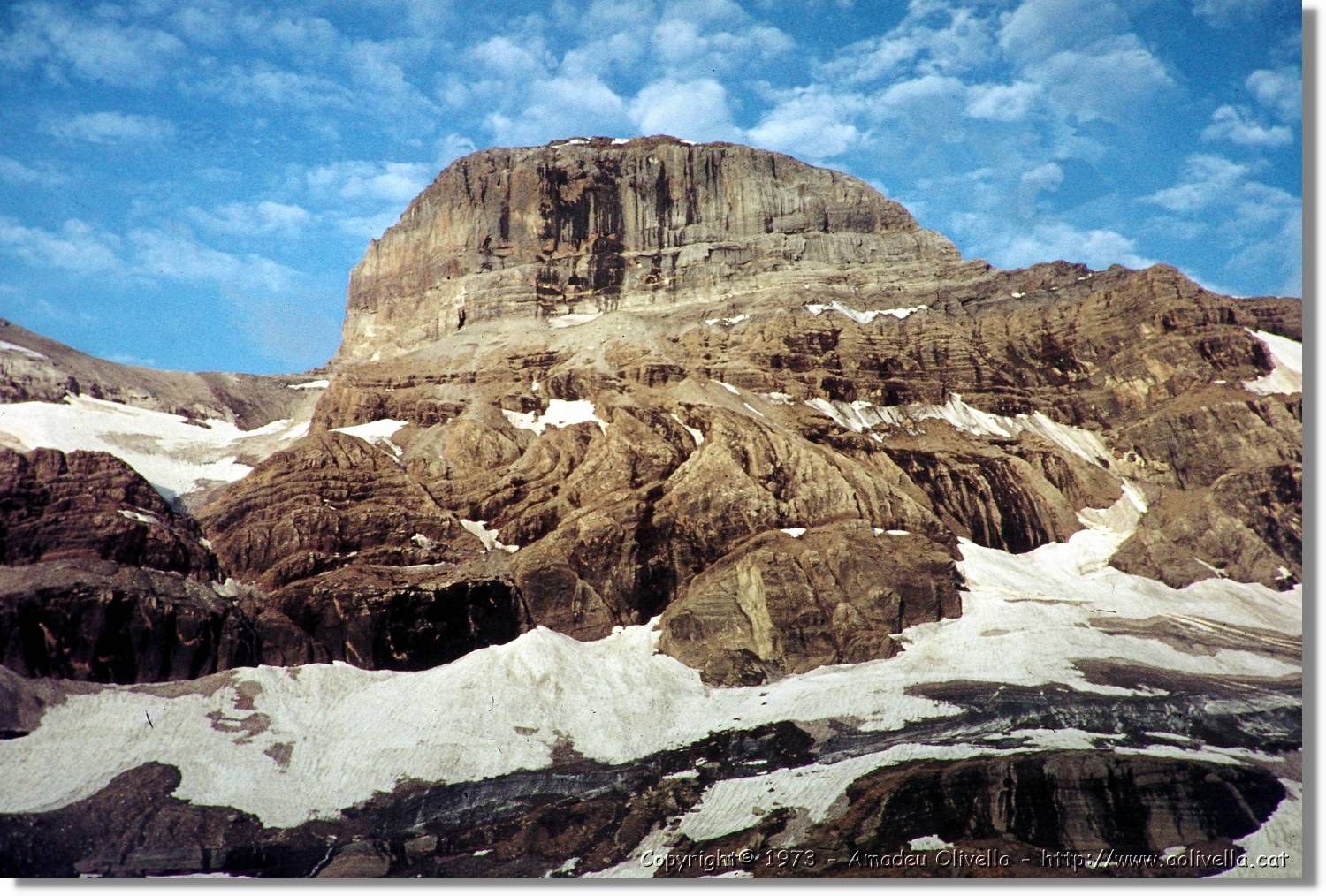 Pineta_14.jpg