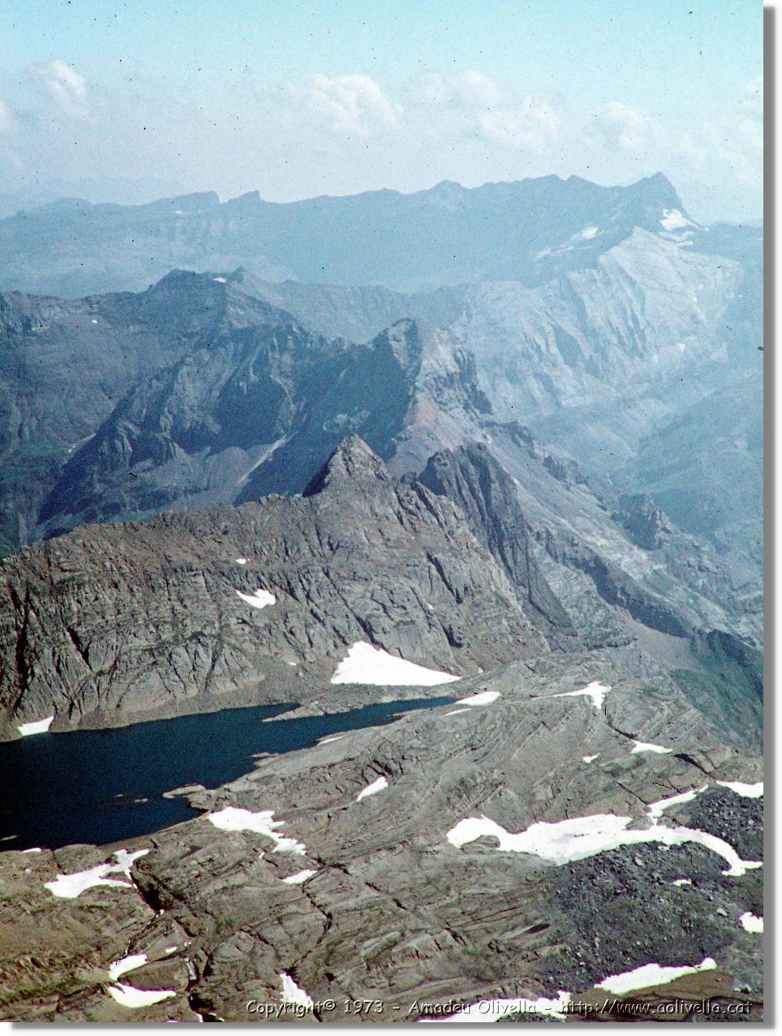 Pineta_54.jpg