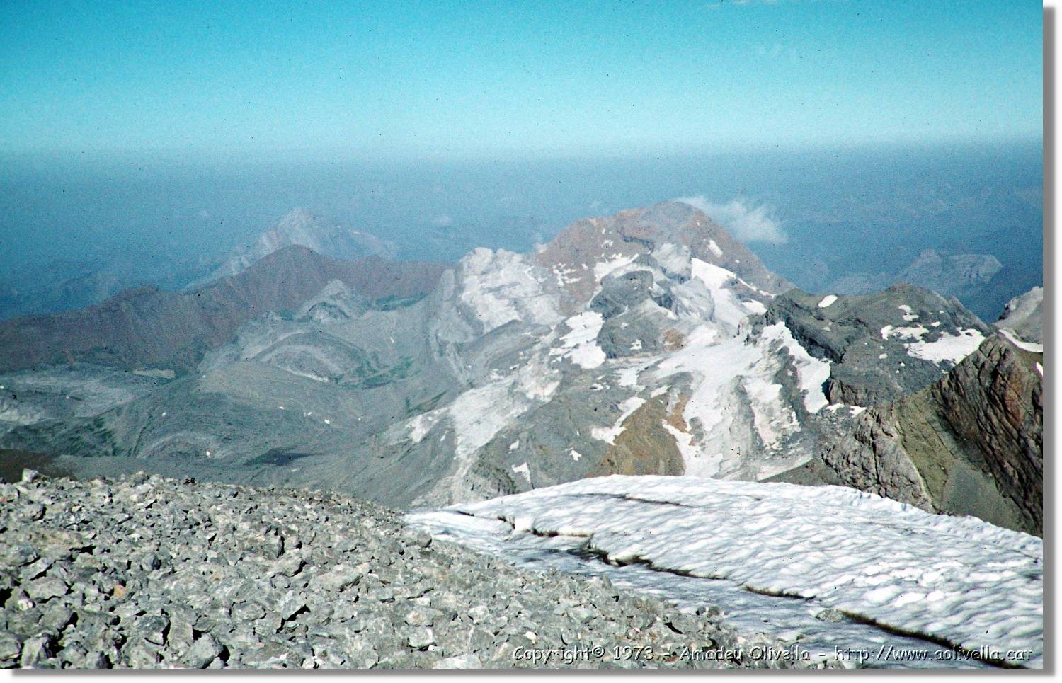 Pineta_59.jpg