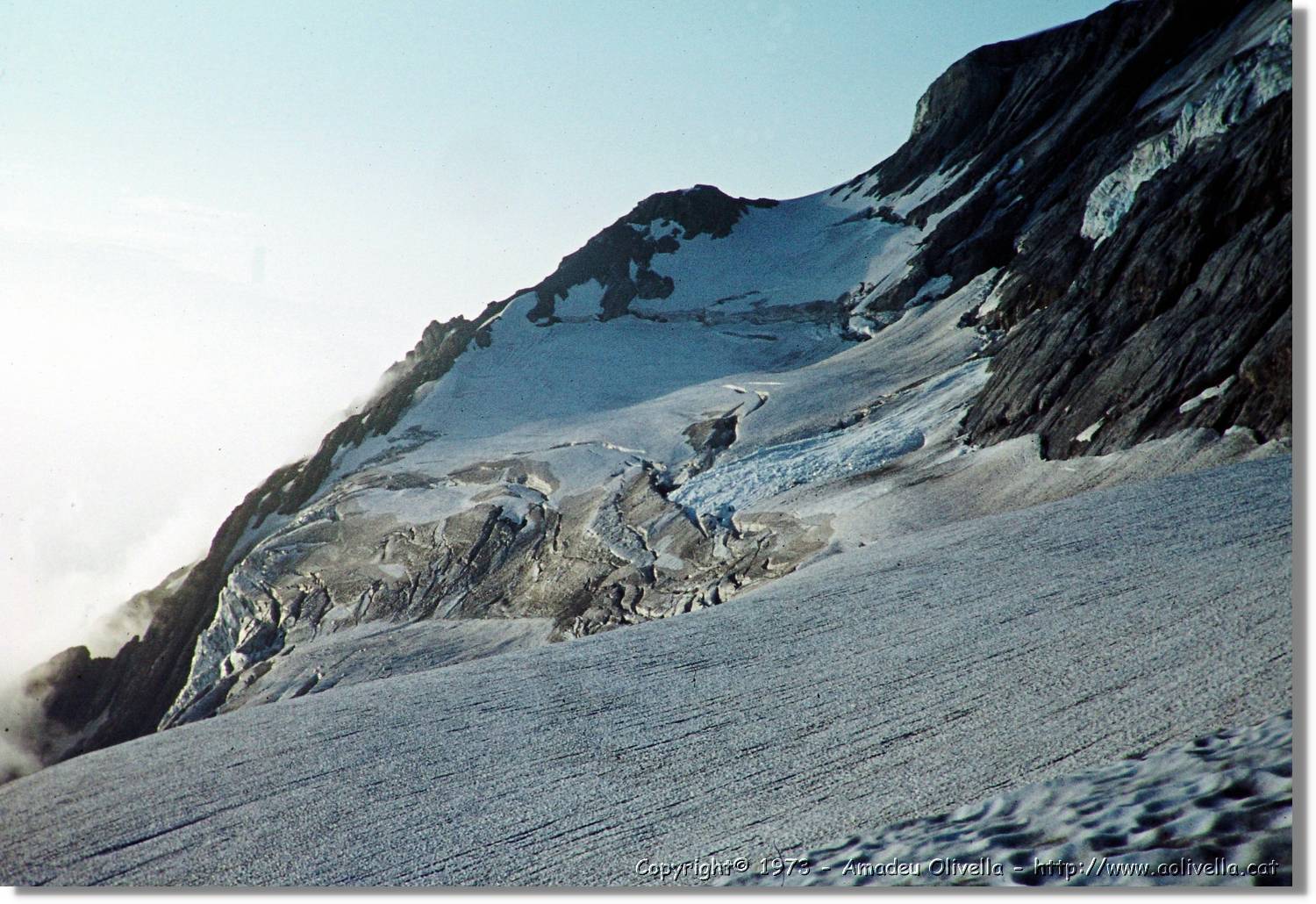 Pineta_66.jpg