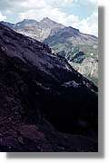 Pineta_005.jpg