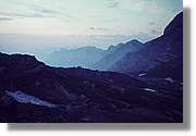 Pineta_012.jpg