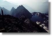 Pineta_038.jpg