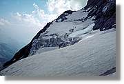 Pineta_045.jpg