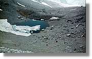 Pineta_047.jpg