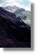 Pineta_05.jpg