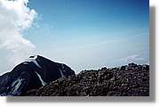 Pineta_050.jpg