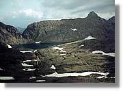 Pineta_067.jpg
