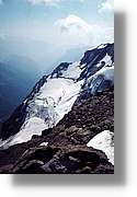 Pineta_46.jpg