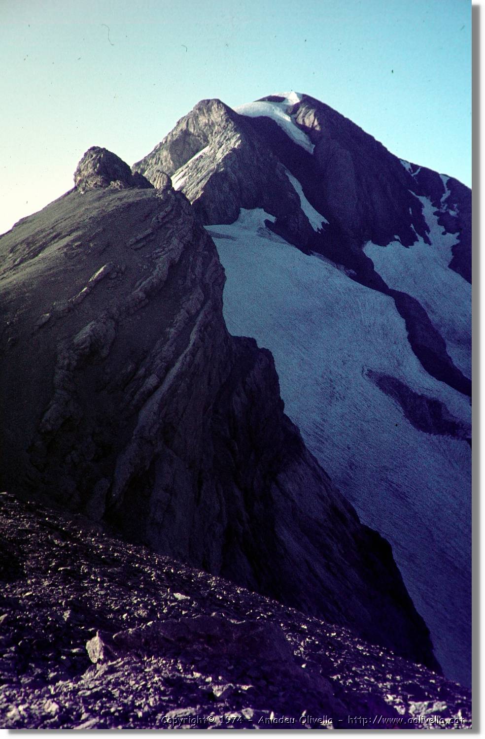 Pineta_012.jpg
